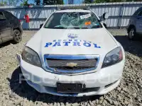 2013 Chevrolet CAPRICE photo