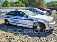 2013 Chevrolet CAPRICE photo