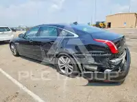 2013 Jaguar XJ фото