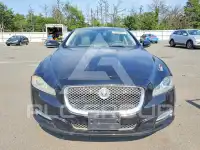 2013 Jaguar XJ фото