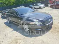 2013 Jaguar XJ фото