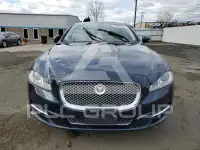 2013 Jaguar XJ фото