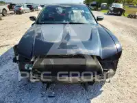 2013 Dodge CHARGER фото