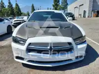 2013 Dodge CHARGER photo