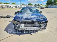 2013 Dodge CHARGER фото