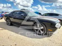 2013 Dodge CHALLENGER photo