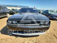 2013 Dodge CHALLENGER photo