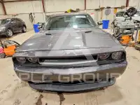 2013 Dodge CHALLENGER фото