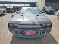2013 Dodge CHALLENGER photo