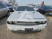 2013 Dodge CHALLENGER photo