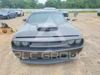 2013 Dodge CHALLENGER photo