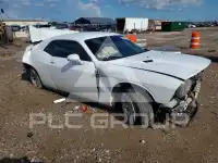 2013 Dodge CHALLENGER photo