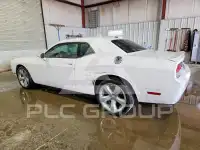 2013 Dodge CHALLENGER фото