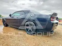 2013 Dodge CHALLENGER фото