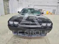 2013 Dodge CHALLENGER фото