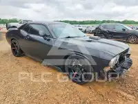 2013 Dodge CHALLENGER фото