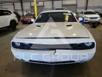 2013 Dodge CHALLENGER photo