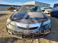 2013 Acura TL фото
