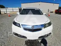 2013 Acura TL фото