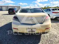 2013 Acura TL фото