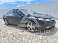 2013 Acura TL фото