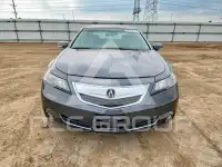 2013 Acura TL фото