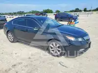 2013 Acura TL фото