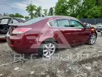 2013 Acura TL фото