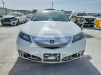 2013 Acura TL фото