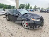2013 Acura TL фото