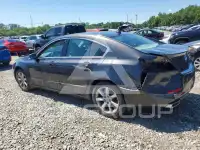 2013 Acura TL фото