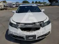 2013 Acura TL фото