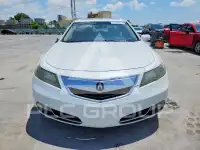 2013 Acura TL фото