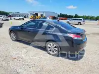 2013 Acura TL фото