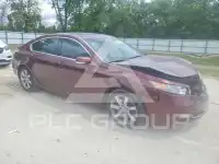 2013 Acura TL фото