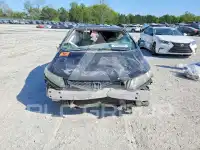 2013 Honda CIVIC фото