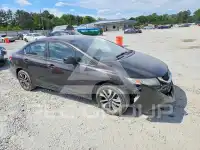 2013 Honda CIVIC фото
