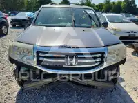 2013 Honda PILOT фото