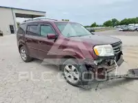 2013 Honda PILOT фото