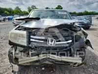 2013 Honda PILOT фото
