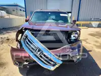 2013 Honda PILOT фото