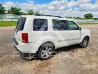 2013 Honda PILOT photo