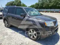 2013 Honda PILOT фото