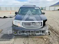 2013 Honda PILOT photo