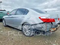 2013 Honda Accord photo