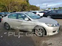 2013 Honda Accord photo