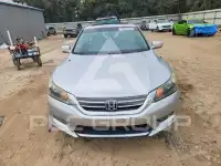 2013 Honda Accord photo