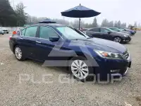 2013 Honda Accord photo