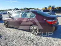 2013 Honda Accord photo