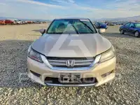2013 Honda Accord photo